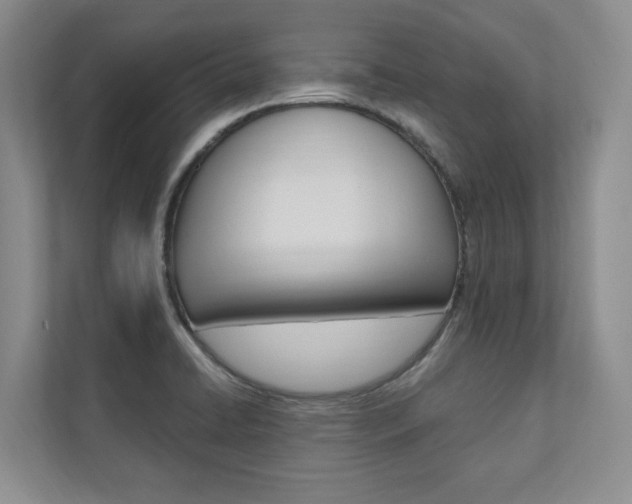 X0000110741422200906150920