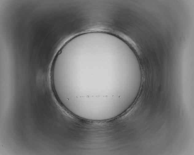 X0000110741423200906150920