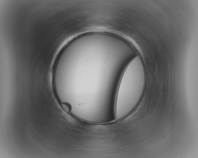 X0000110741424200906150920