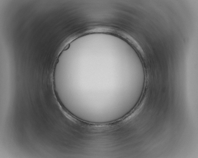 X0000110741425200906150920