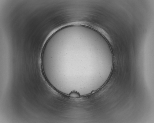 X0000110741428200906150920