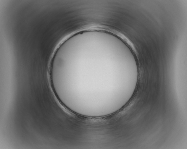 X0000110741429200906150920