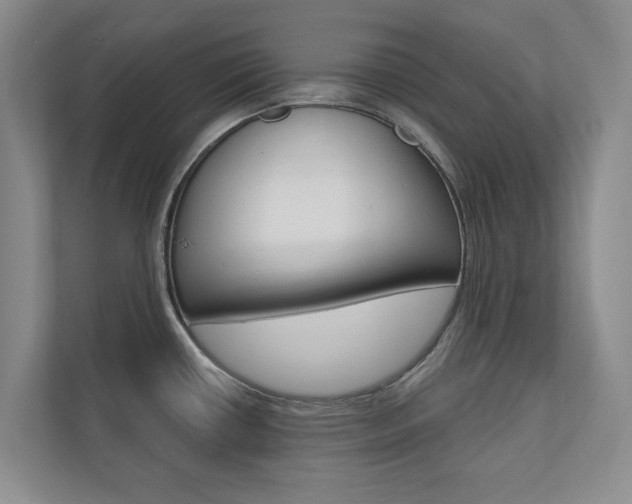 X0000110741434200906150920
