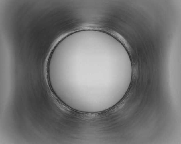 X0000110741435200906150920