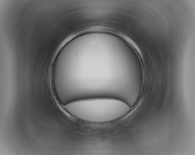 X0000110741437200906150920
