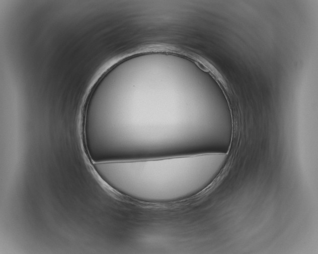 X0000110741438200906150920