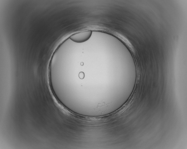 X0000110741439200906150920