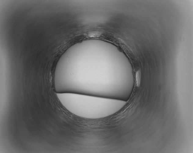 X0000110741443200906150919