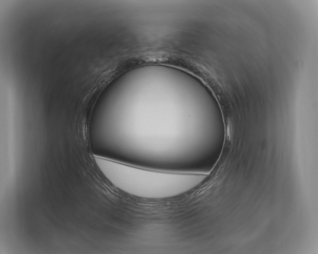X0000110741444200906150919