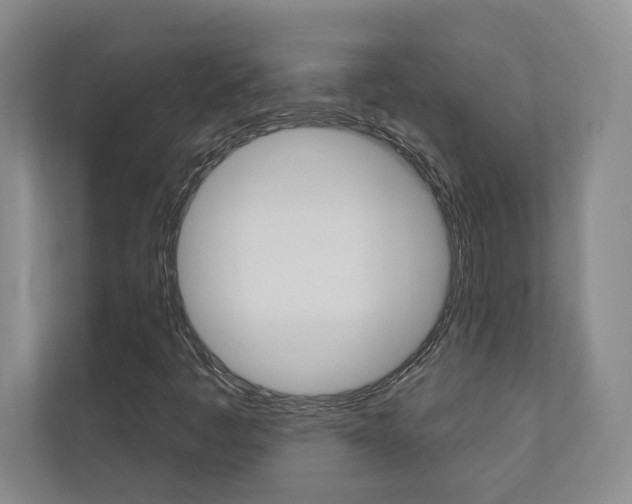 X0000110741445200906150919