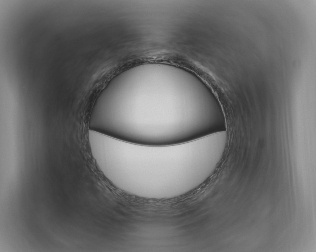 X0000110741447200906150919