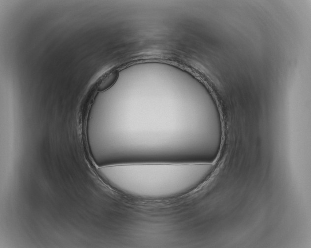 X0000110741450200906150919