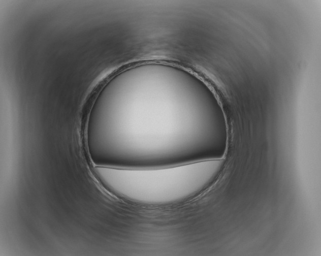 X0000110741452200906150919