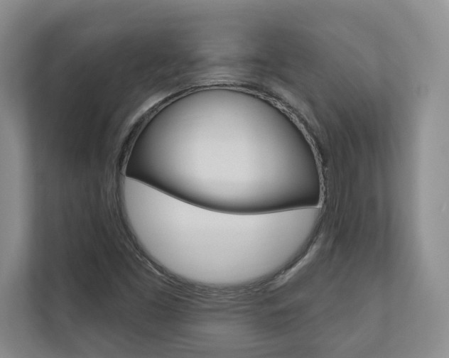 X0000110741453200906150919