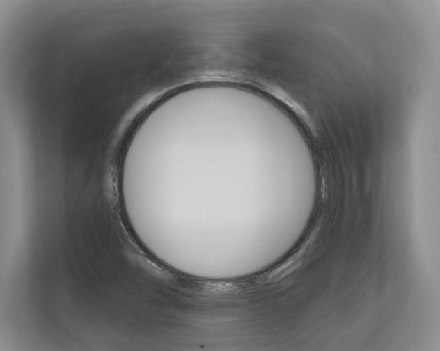 X0000110741454200906150919