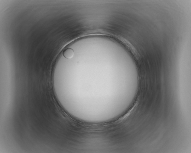 X0000110741457200906150919