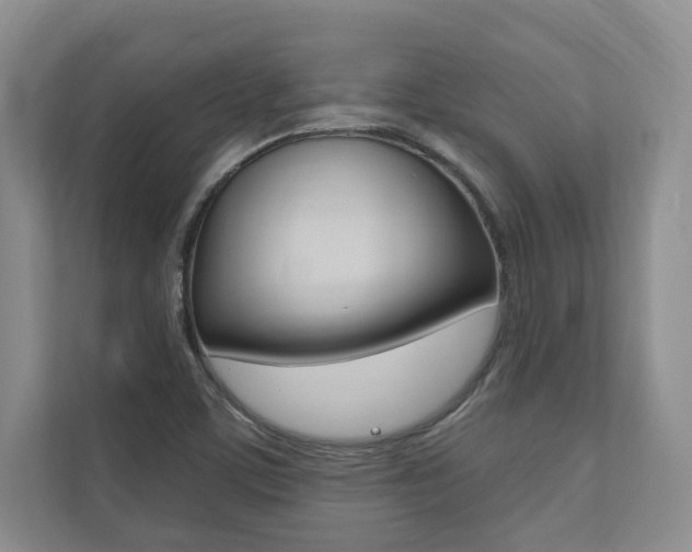 X0000110741459200906150919