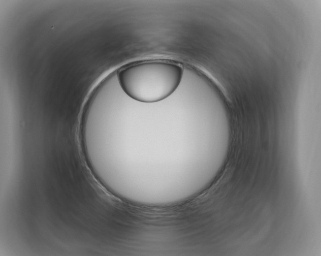 X0000110741460200906150919