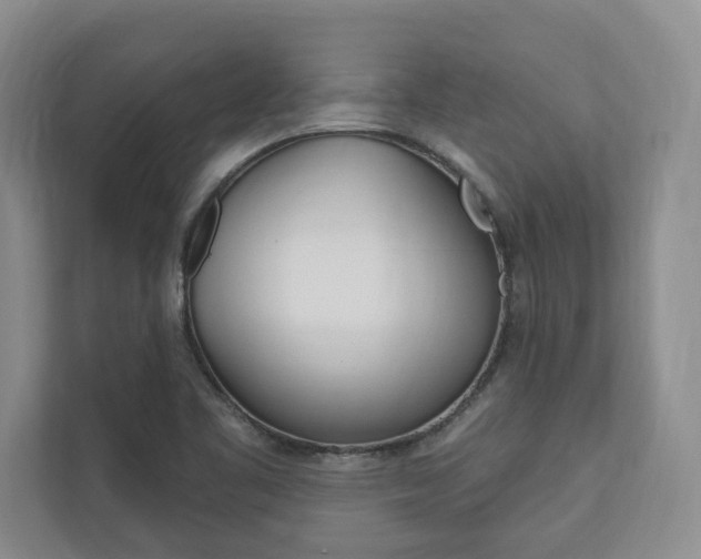X0000110741461200906150919