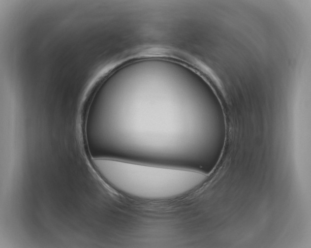 X0000110741464200906150919