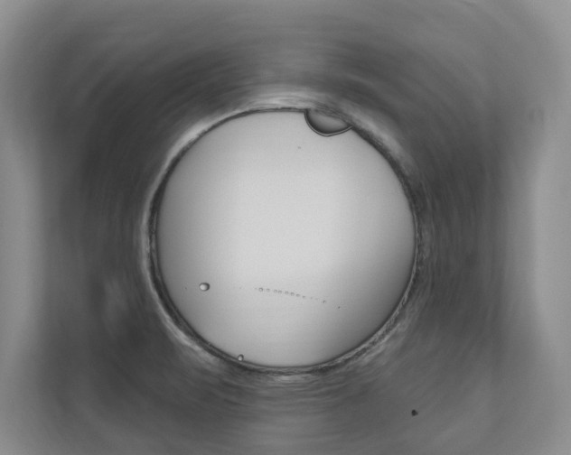X0000110741471200906150919