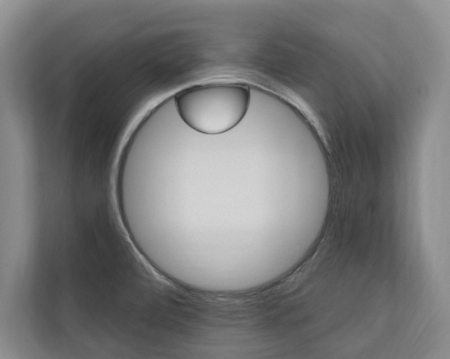 X0000110741472200906150919
