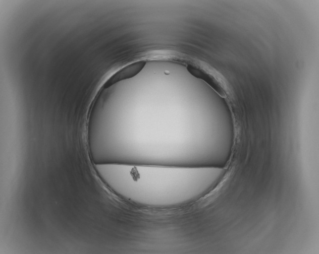 X0000110741473200906150919