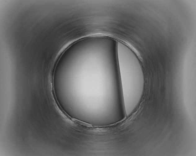 X0000110741476200906150919