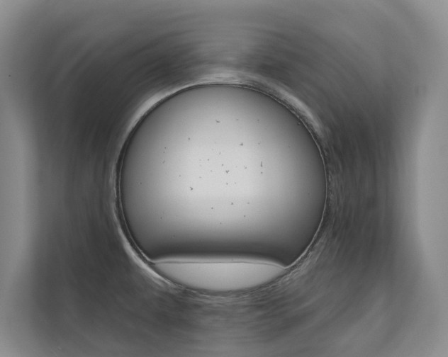 X0000110741479200906150919