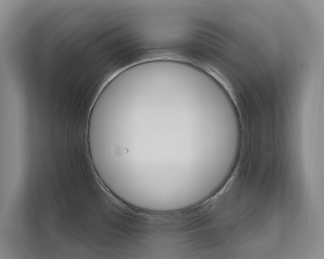 X0000110741481200906150919