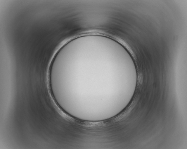 X0000110741482200906150919