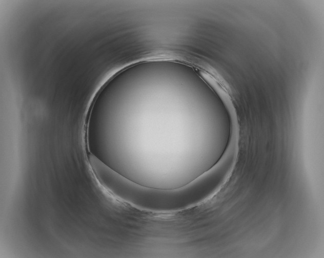 X0000110741484200906150919