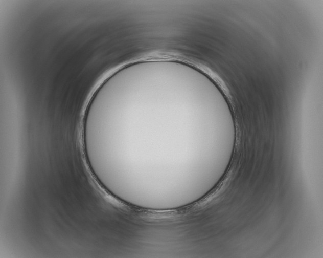 X0000110741486200906150919