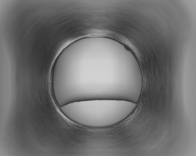 X0000110741487200906150919