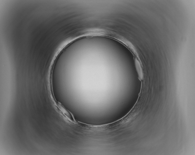X0000110741488200906150919