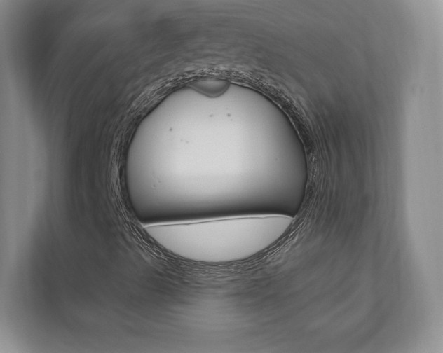 X0000110741489200906150918