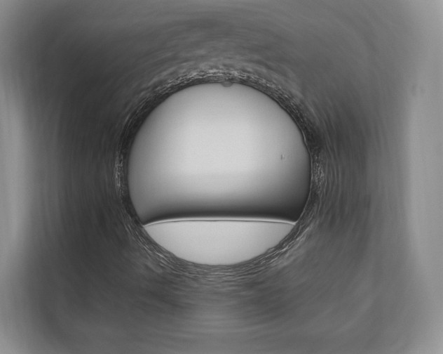 X0000110741490200906150918