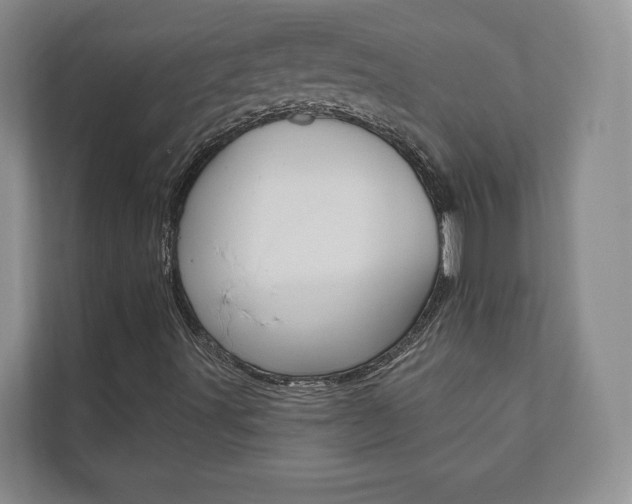 X0000110741491200906150918