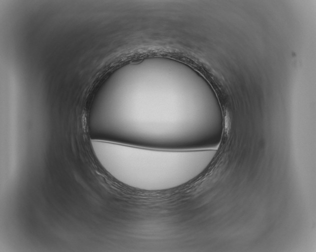 X0000110741492200906150918