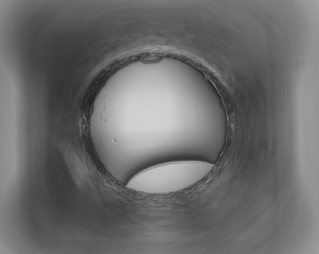 X0000110741495200906150918