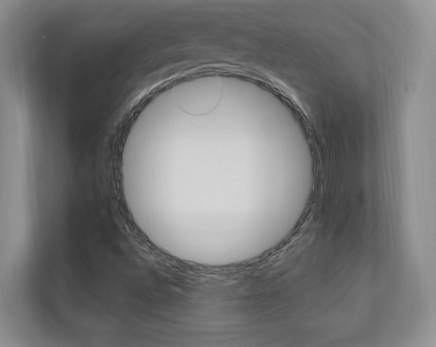 X0000110741496200906150918