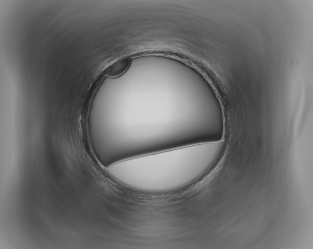 X0000110741497200906150918