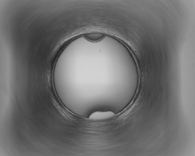 X0000110741499200906150918