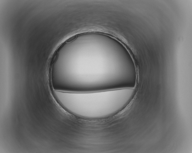 X0000110741500200906150918