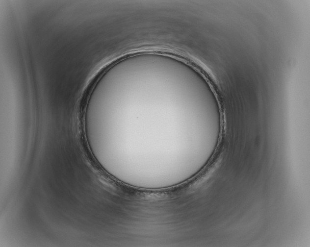 X0000110741501200906150918
