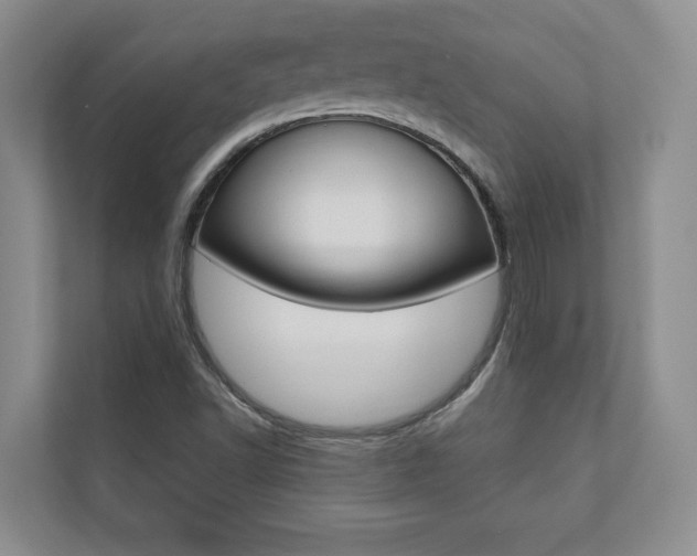 X0000110741502200906150918