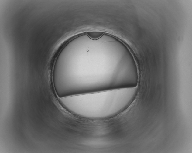X0000110741503200906150918