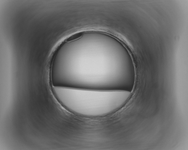 X0000110741504200906150918