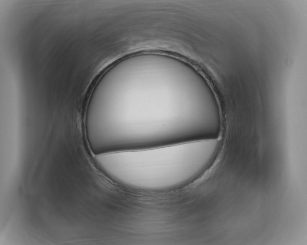 X0000110741505200906150918
