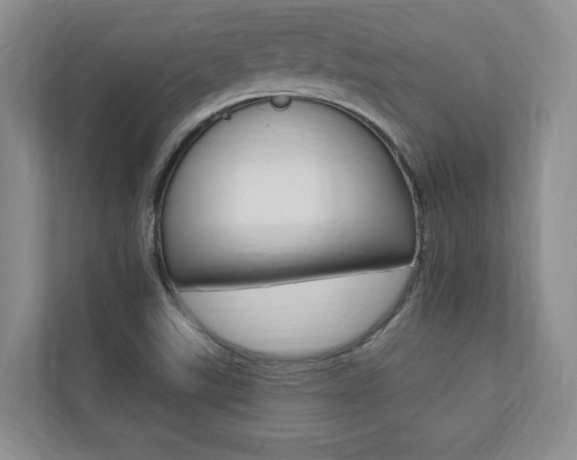 X0000110741507200906150918